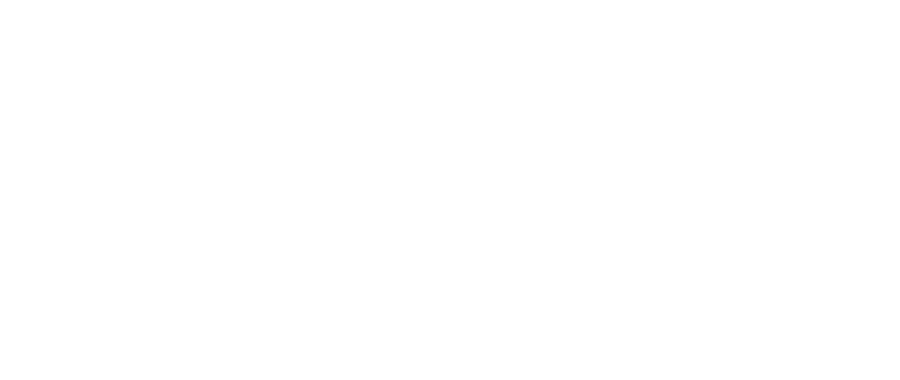 VPV group